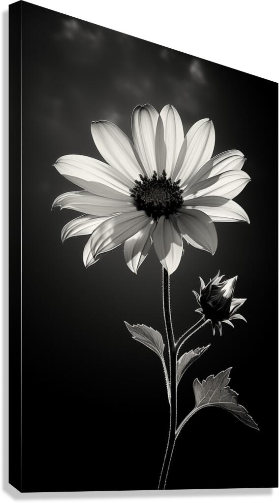 The Grace of Golden Hours – Monochrome Floral Art Print Canvas Print