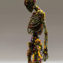 Decay In Bloom - Sculptural Botanical Art Prints