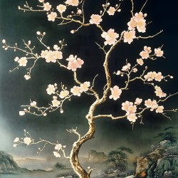 Sakura No Saku 桜の咲く - Blossom In Stillness - Japanese Cherry Blossom Art Prints