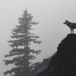 Misty Morning Lookout - Monochrome Landscape Art Prints