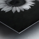 Sunflower Selfie 6 - Sunflower Portrait Art Prints Metal print