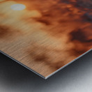 The Gaze – Wildlife Portrait Art Print Metal print