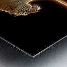 Golden Monarch – Tiger Reflection Print Metal print