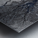 Veins of Time – Black and Gold Tree Abstract Print Metal print