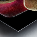 Gold & Blue Loops – Modern Abstract Wall Art Print Metal print