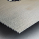 Steps of Solitude – Penguin on Stone Wall Print Metal print