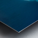 Blue Silence – Belugas in Still Water Print Metal print