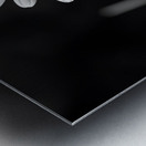 Light & Form – Black and White Daisy Print Metal print