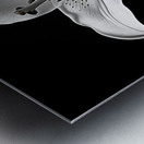 Golden Meadow by the Lake – Wildflower Panorama Print Metal print