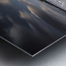 Silent Harmony – Black & White Garden Daisy Art Print Metal print