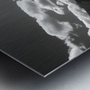 Bloomscape – Wide Field Floral Monochrome Art Print Metal print