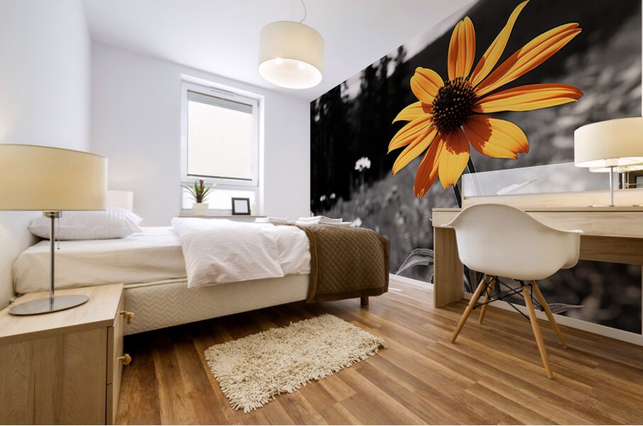 Wild Solitude – Orange Flower in Mountain Meadow Print Mural print