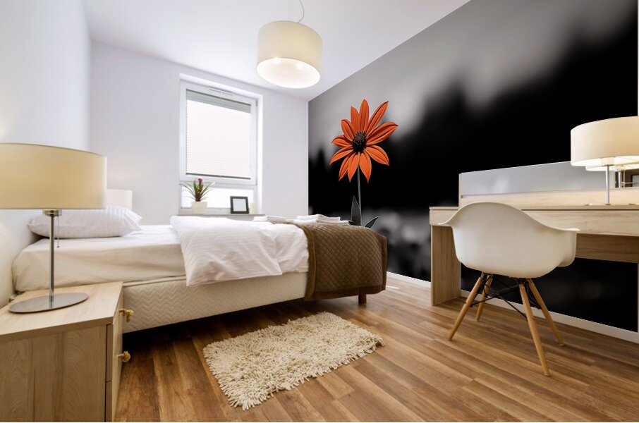Solitary Flame – Orange Daisy in the Dark Print Mural print