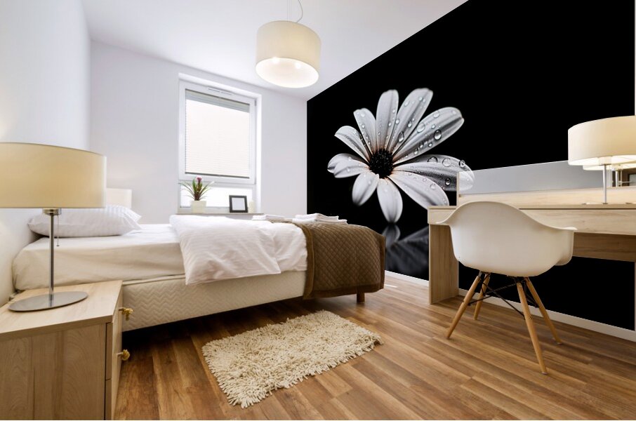 Whisper Bloom – Minimalist Daisy on Black Print Mural print