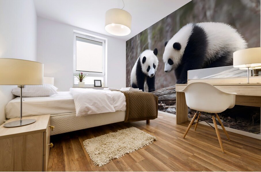 Panda Kin - Wildlife Companions Print Mural print