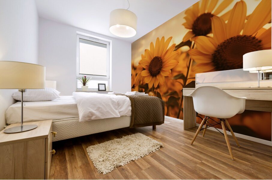 Golden Haze – Radiant Sunflower Morning Print Mural print