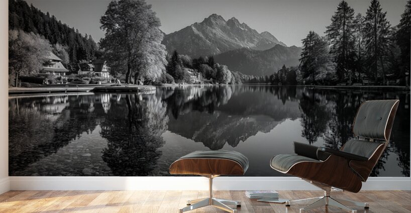 Reflected Dreams - Monochrome Landscape Art Prints Wall Murals