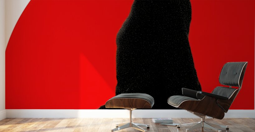 Lady of Mystery – Vintage Noir Fashion Art Print Wall Murals