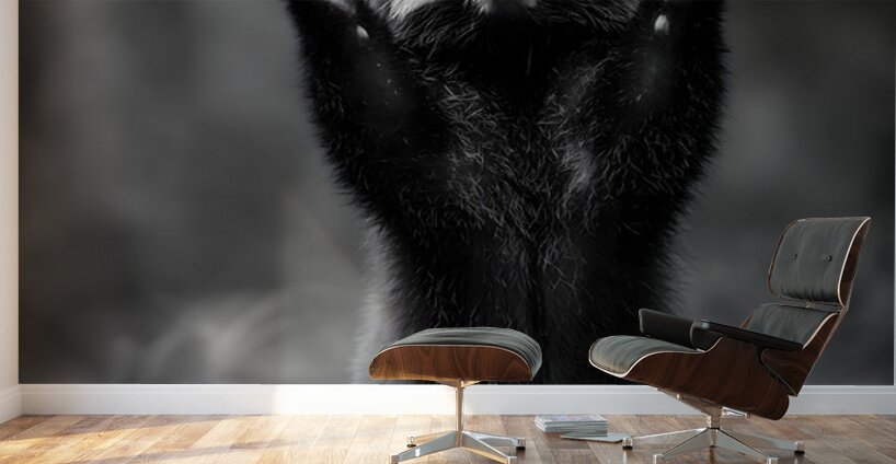 Standing Ovation – Red Panda Print Wall Murals