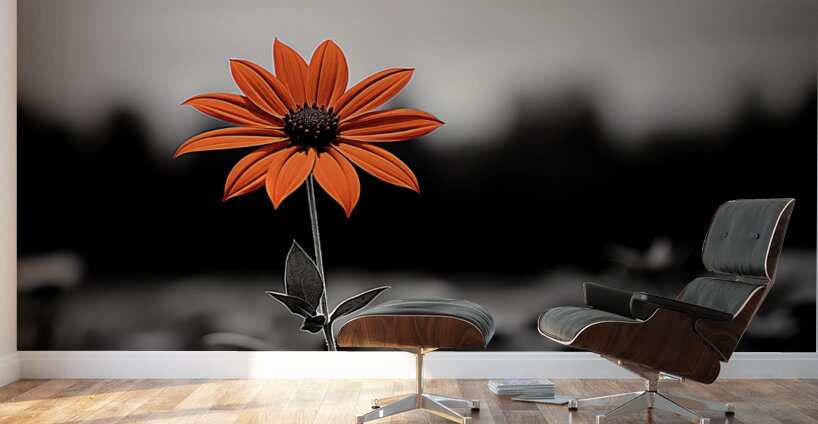 Solitary Flame – Orange Daisy in the Dark Print Wall Murals