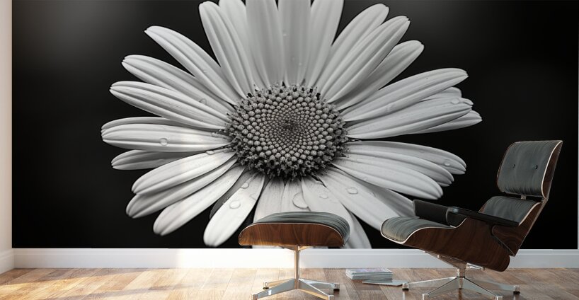 Petals of Memory – Vintage Daisy Landscape Print Wall Murals