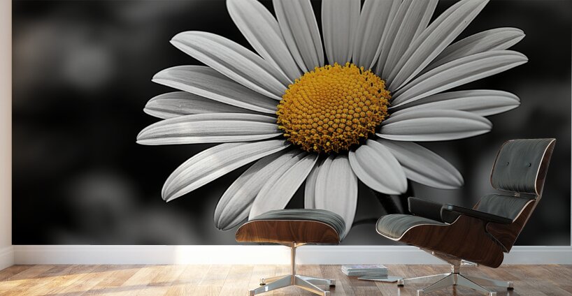 Amber Whisper – Yellow Petal Accent Print Wall Murals