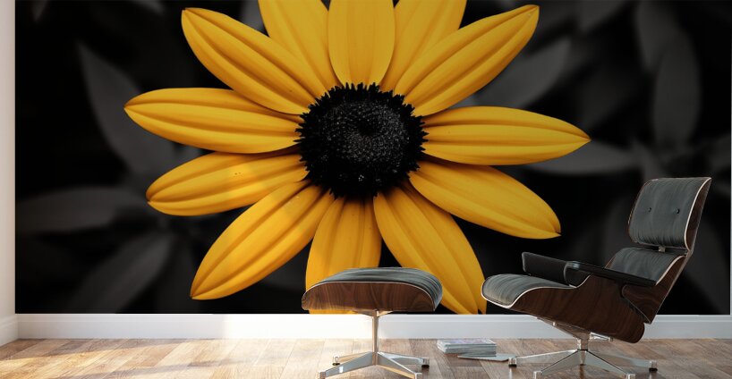Lone Glow – Yellow Sunflower on Black Print Wall Murals