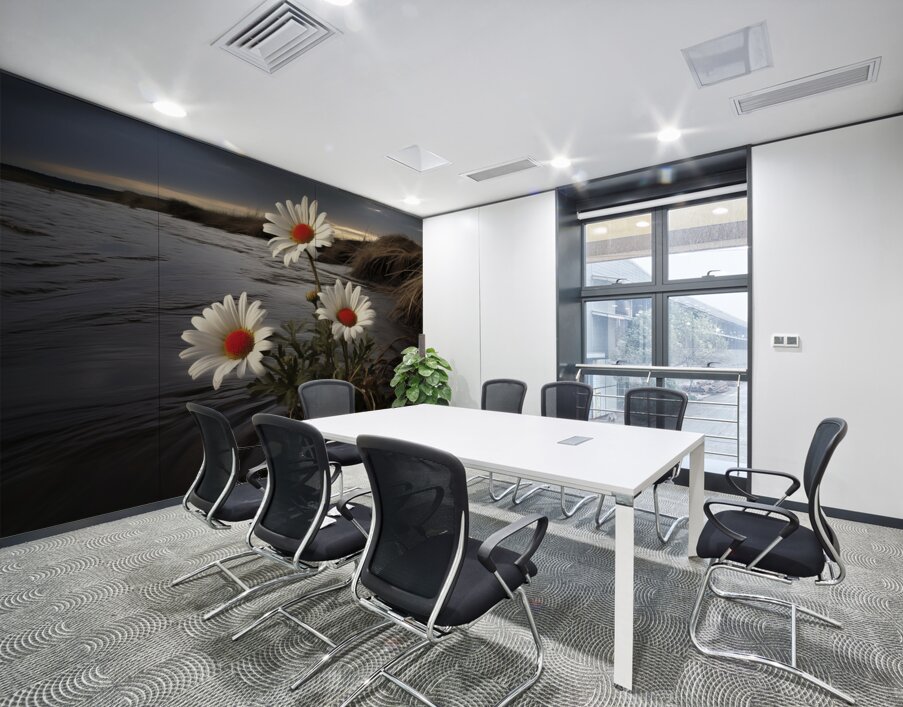 Shoreline Daisies – Coastal Botanical Art Print Wall Printing