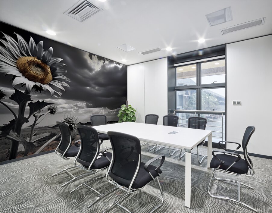 Desert Sunflower – Stormfront Monochrome Landscape Print Wall Printing