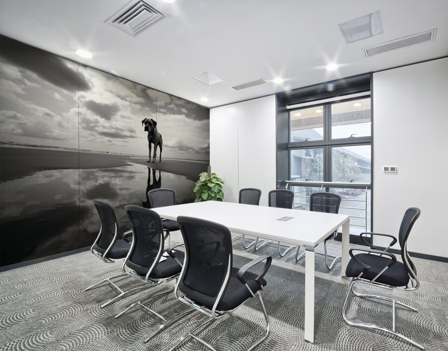 Lost in My Eyes – Monochrome Coastal Dog Photography Print Wall Printing