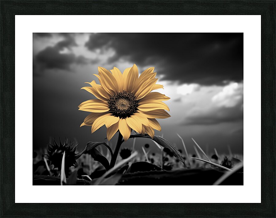  Fine Art print