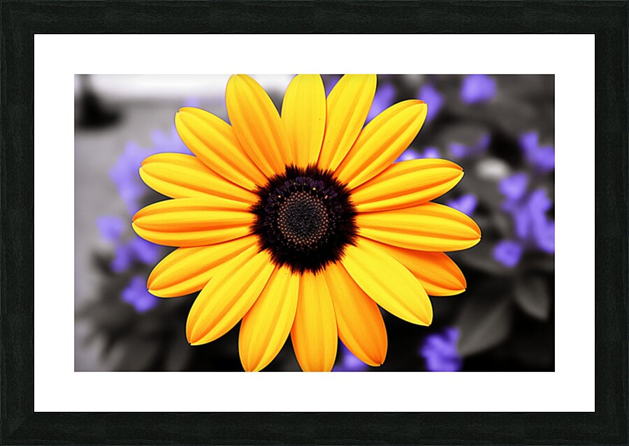 Golden Spirit – Yellow Bloom with Violet Shadows Picture Frame print