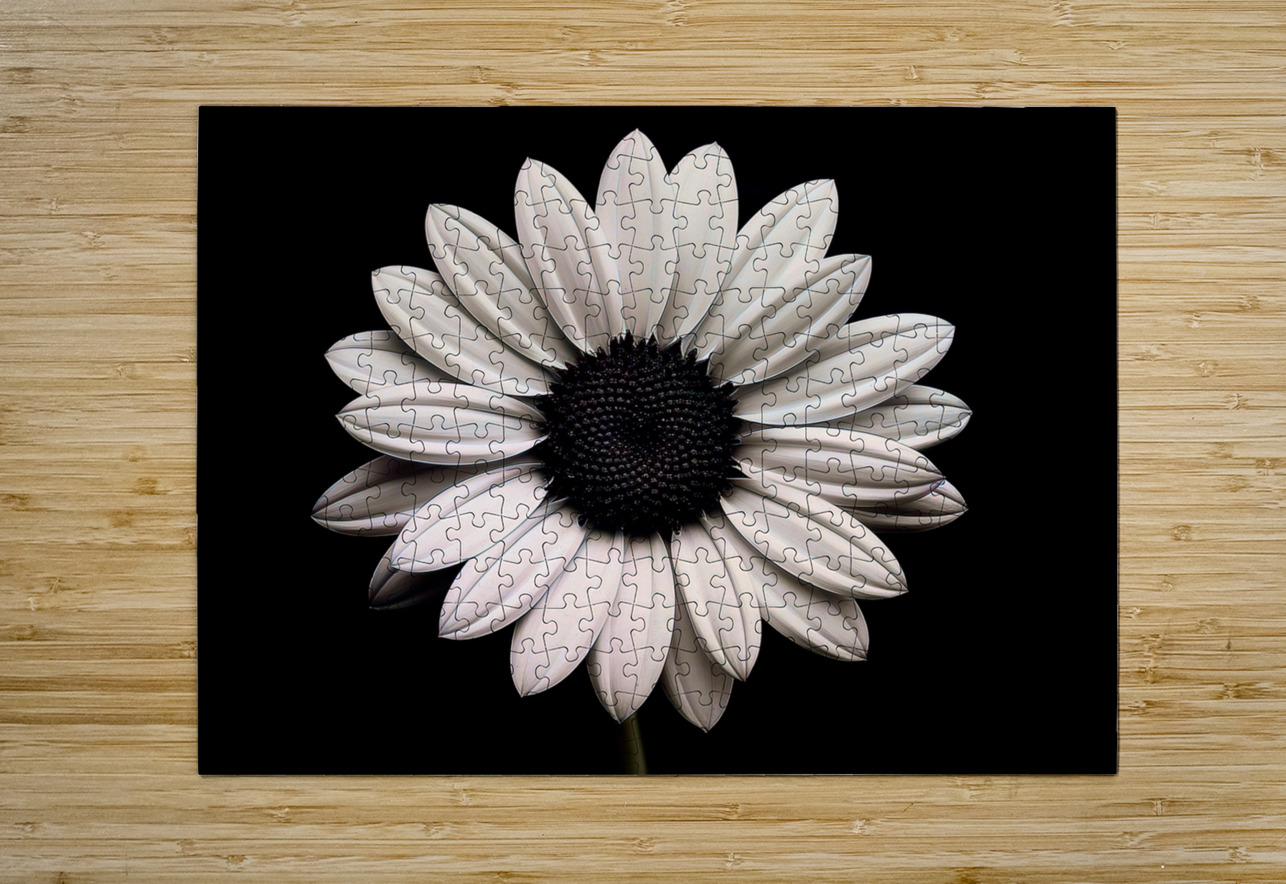 Petal Perspective 31 - Macro Floral Art Prints Savage Art Prints Puzzle printing