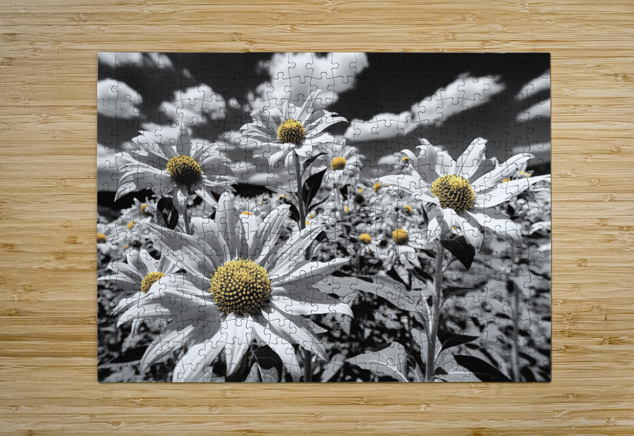 Motion Blur - Abstract Floral Motion Art Prints Savage Art Prints Puzzle printing