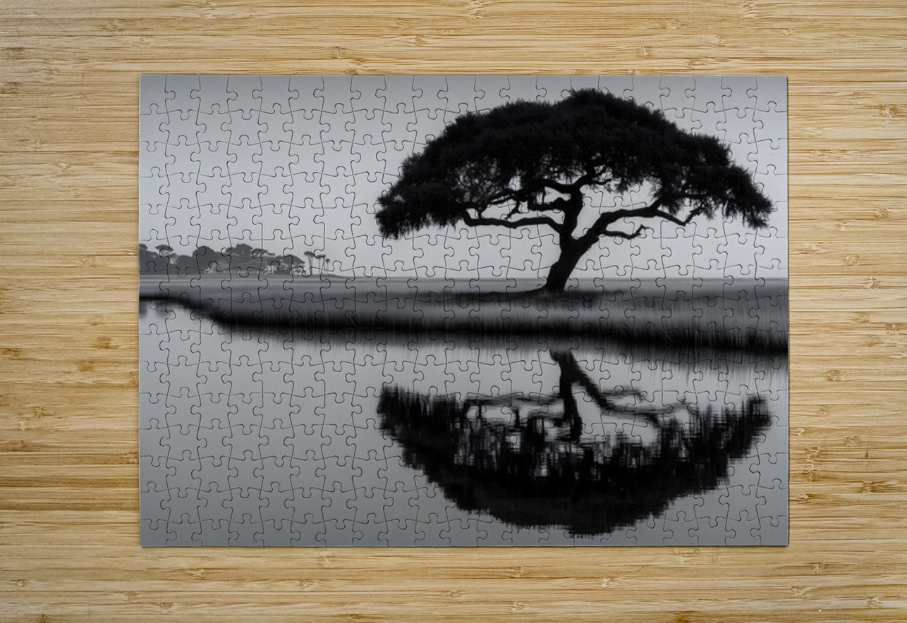 Solitude - Monochrome Landscape Art Prints Savage Art Prints Puzzle printing