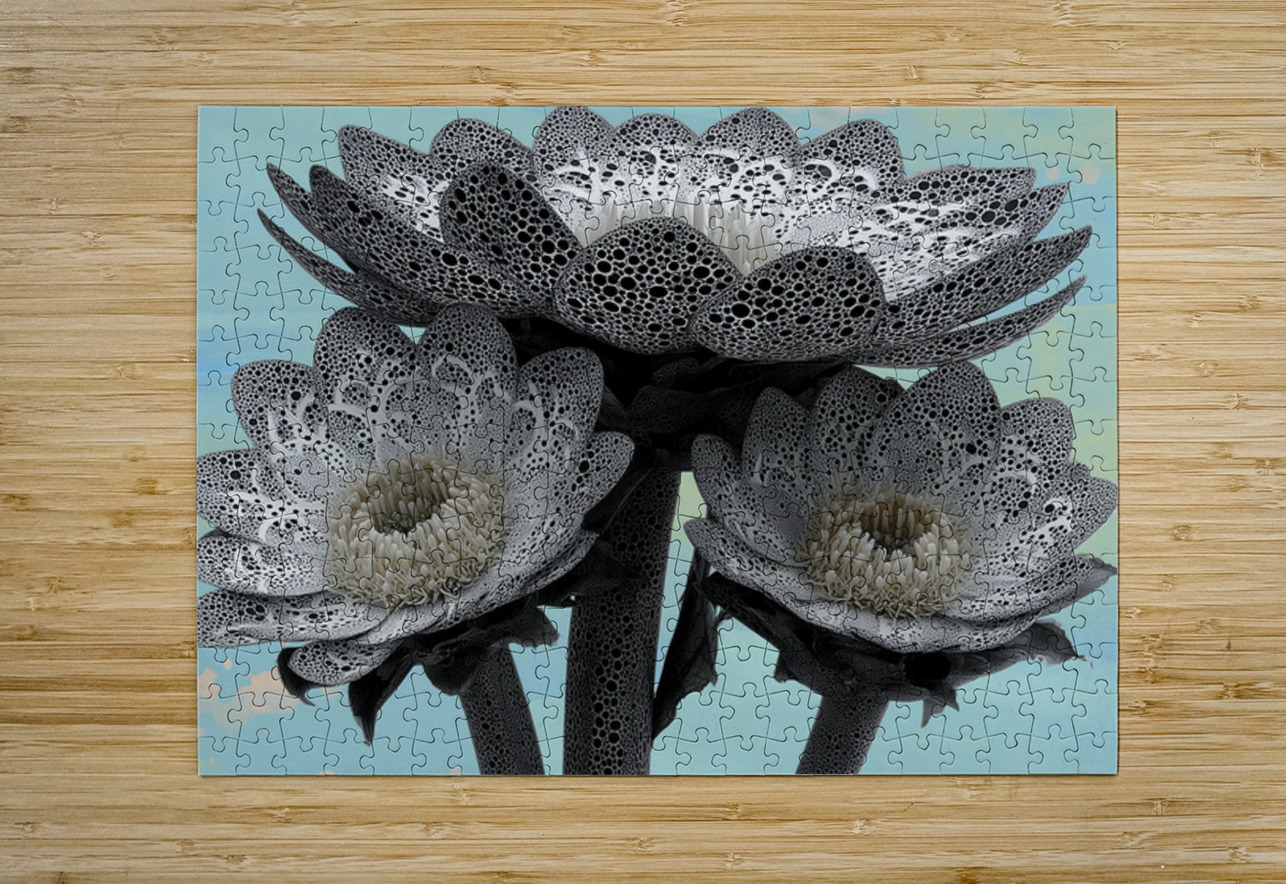 Lace Petal Trio – Modern Lotus Bloom Art Print Savage Art Prints Puzzle printing