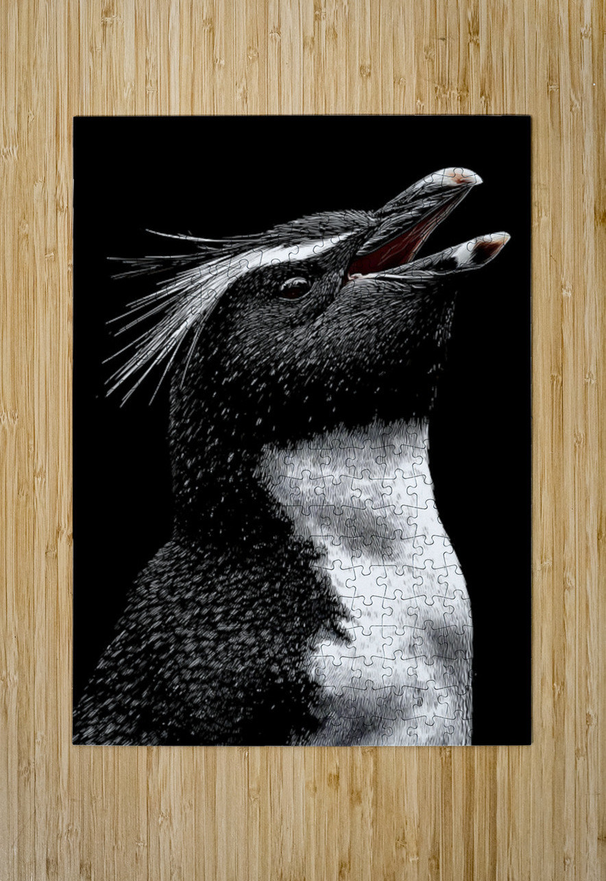 Cry of the Rockhopper – Modern Wildlife Print Savage Art Prints Puzzle printing