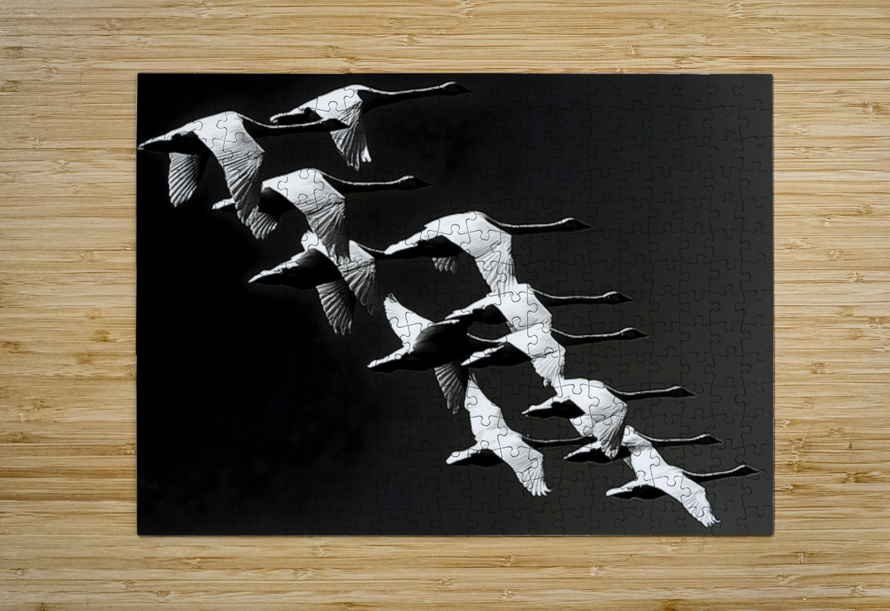 Flight Code – Geese Formation Print Savage Art Prints Puzzle printing