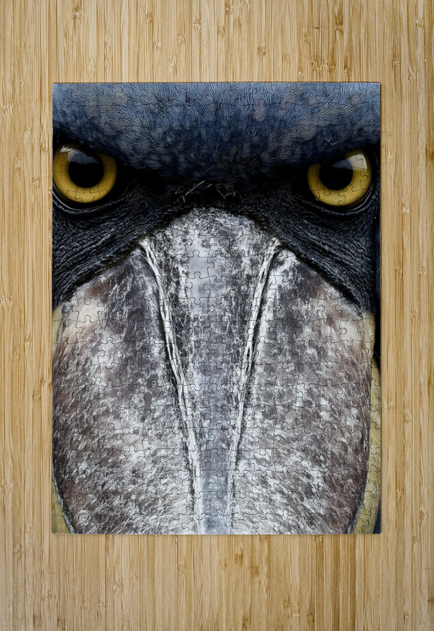 Prehistoric Stare – Present Day Shoebill Print Savage Art Prints Puzzle printing