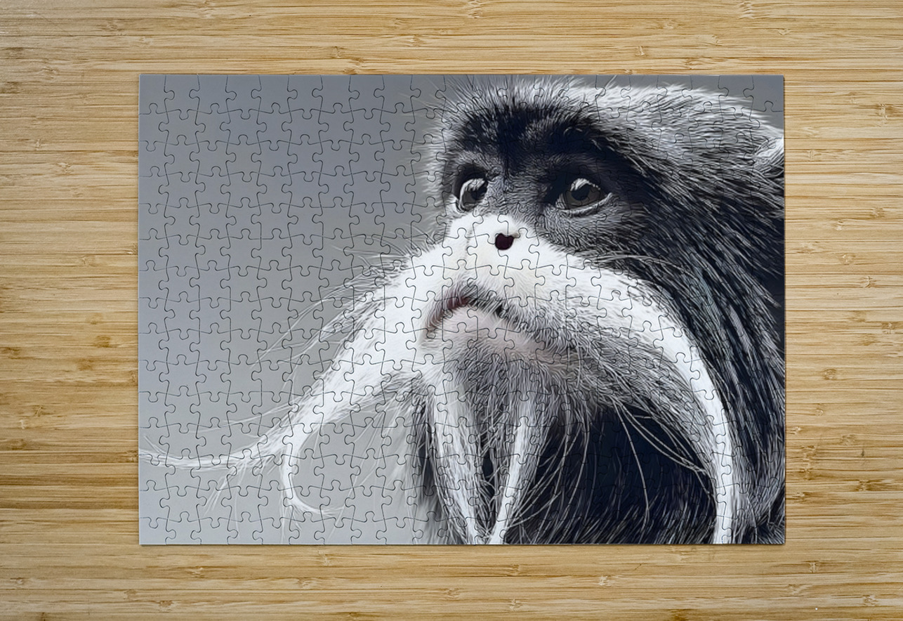 Emperor’s Gaze – Emperor Tamarin Monkey Portrait Print Savage Art Prints Puzzle printing