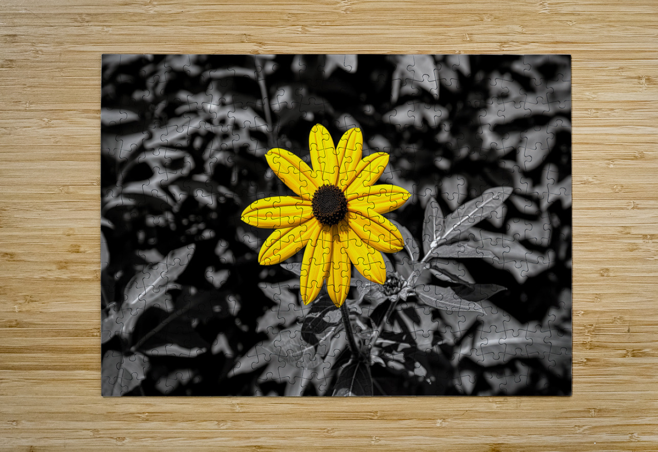 Golden Defiance – Yellow Flower in Monochrome Field Print Savage Art Prints Puzzle printing
