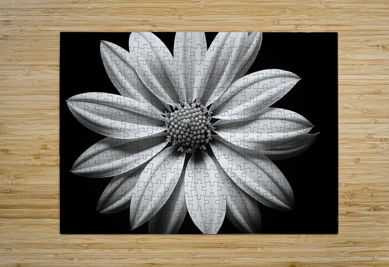 Echo in Silence – Monochrome Bloom Print Savage Art Prints Puzzle printing