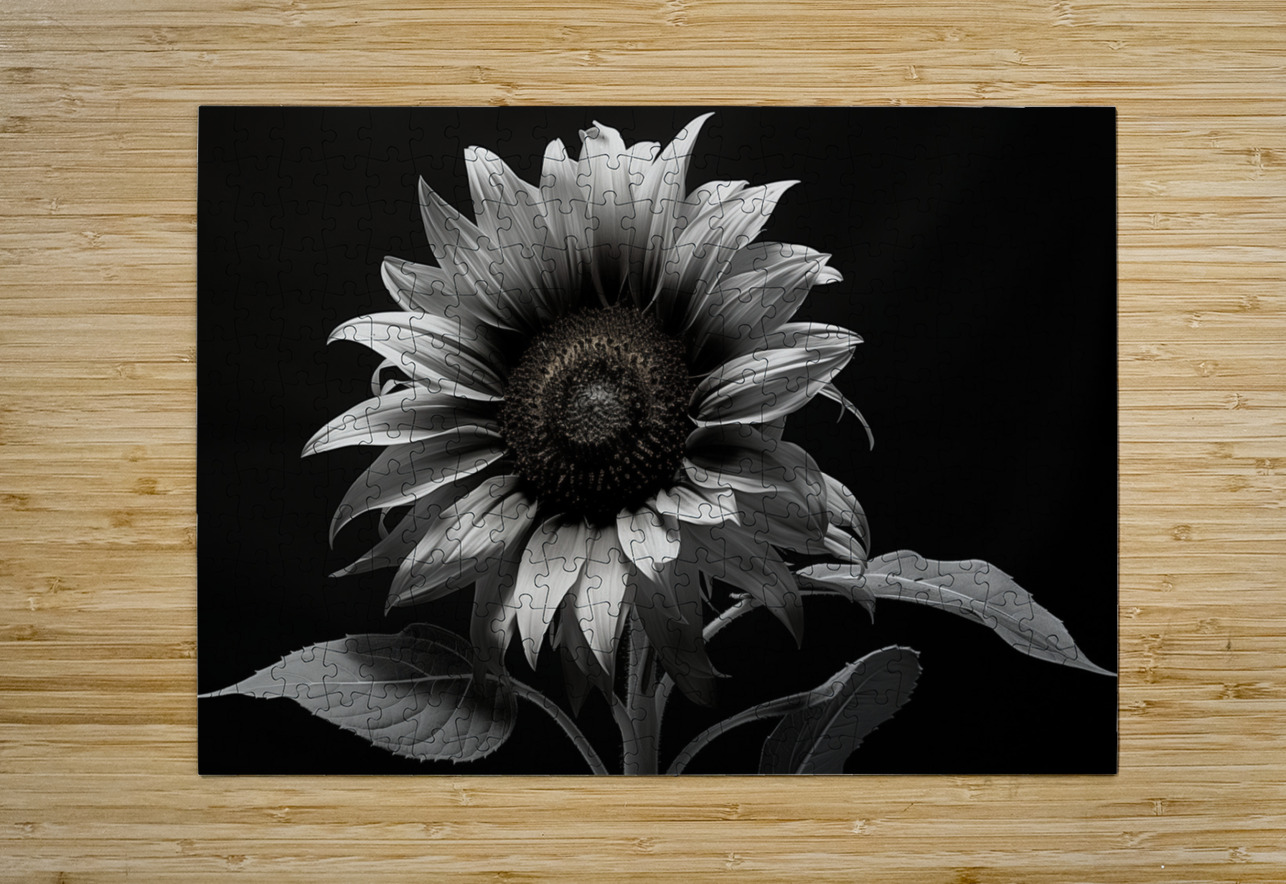 Obsidian Petals – Dark Botanical Fine Art Print Savage Art Prints Puzzle printing