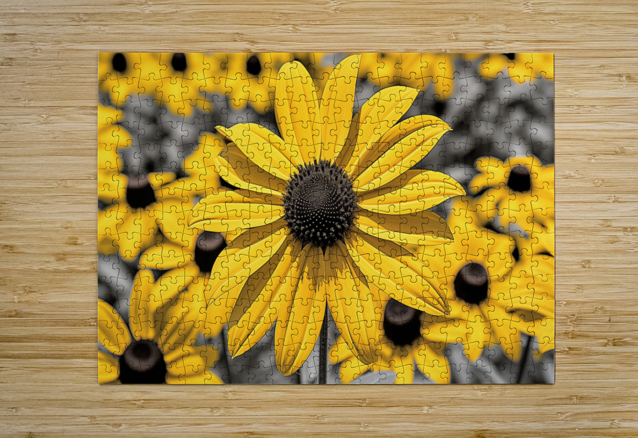 Radiant Reverie – Yellow Blossom Panorama Print Savage Art Prints Puzzle printing