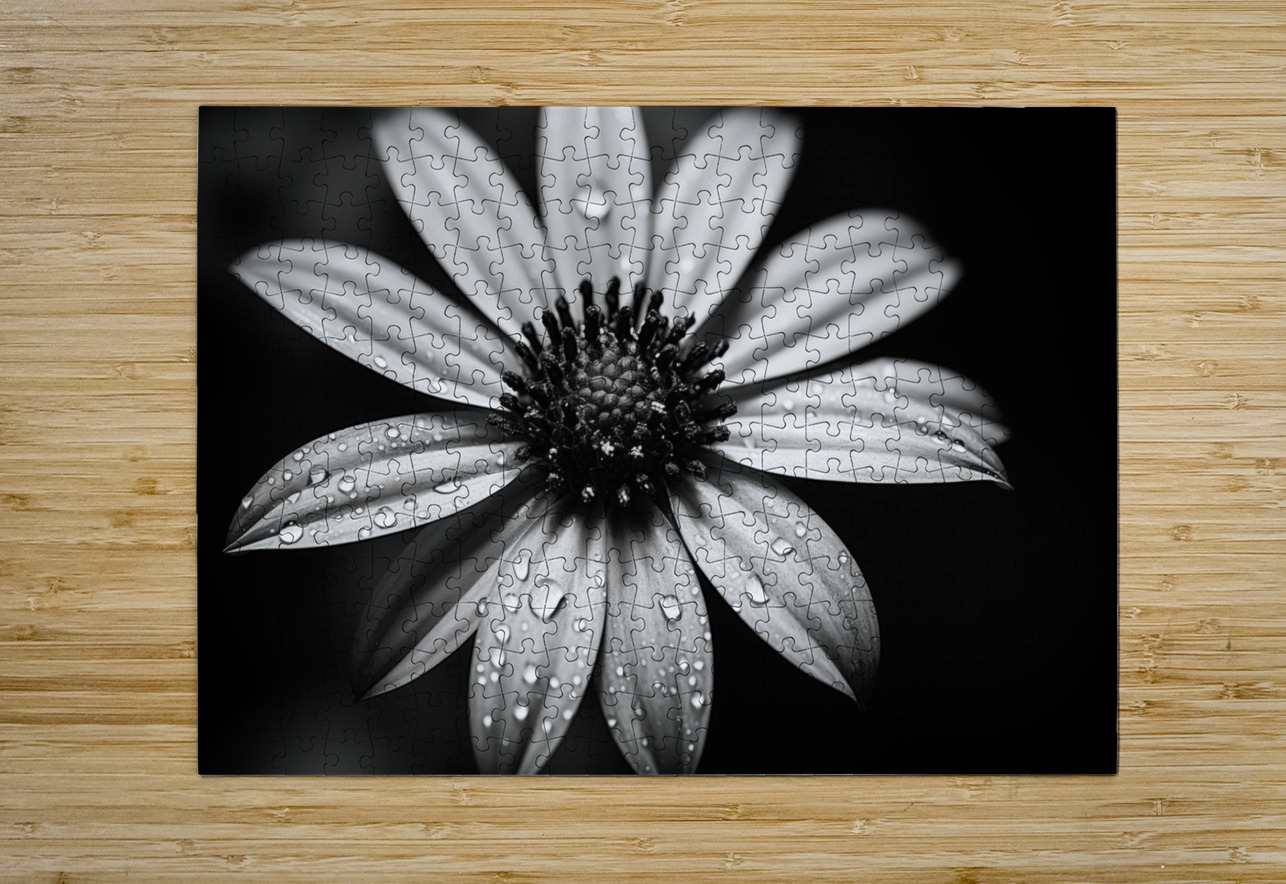 Shadow Petals – Monochrome Floral Elegance Print Savage Art Prints Puzzle printing