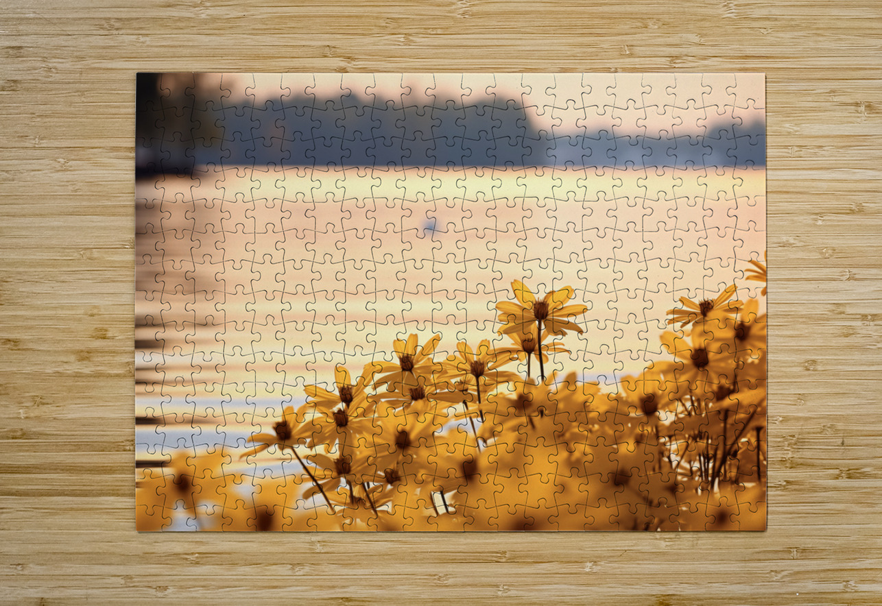 Golden Hour Bloom – Warm Sepia Sunflower Landscape Print Savage Art Prints Puzzle printing