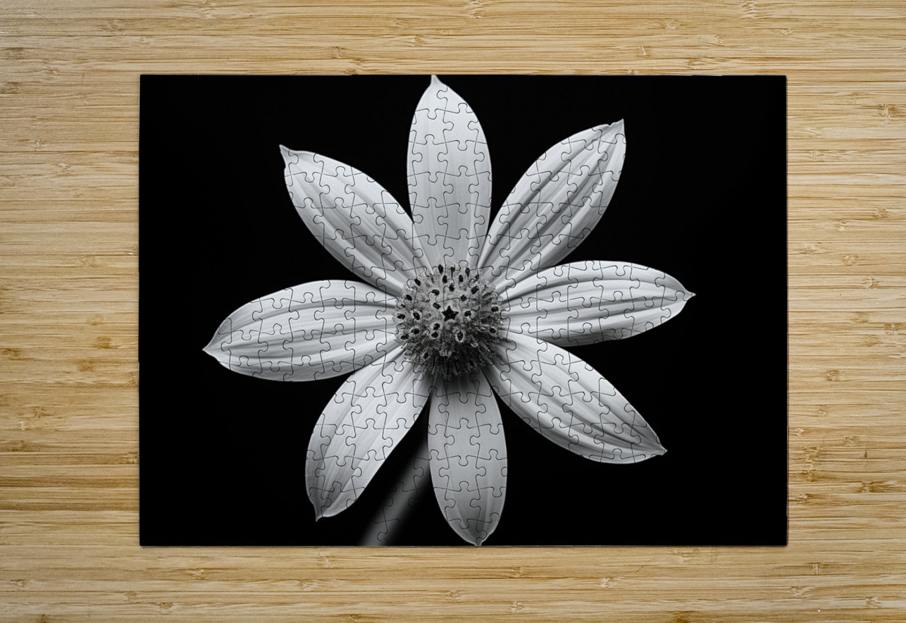 Obsidian Bloom II – Minimal Floral Print Savage Art Prints Puzzle printing