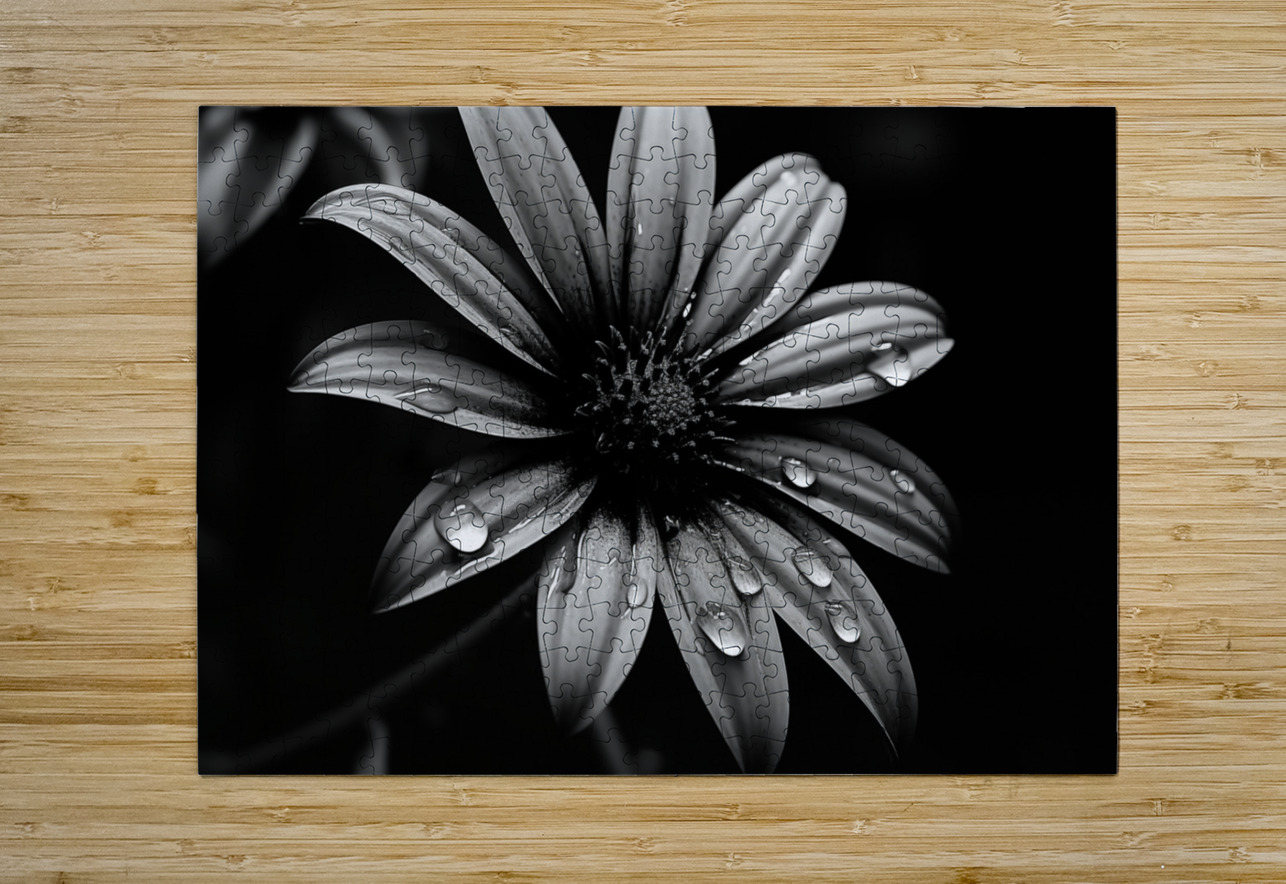 Obsidian Bloom I – Graphic Floral Print Savage Art Prints Puzzle printing