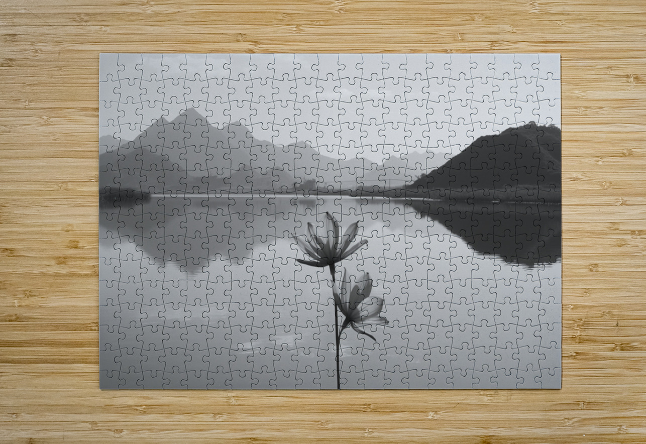 Desert Sunflower – Stormfront Monochrome Landscape Print Savage Art Prints Puzzle printing