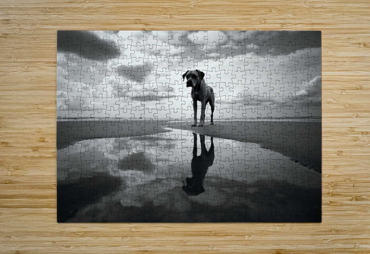 Lost in My Eyes – Monochrome Coastal Dog Photography Print Savage Art Prints Puzzle printing